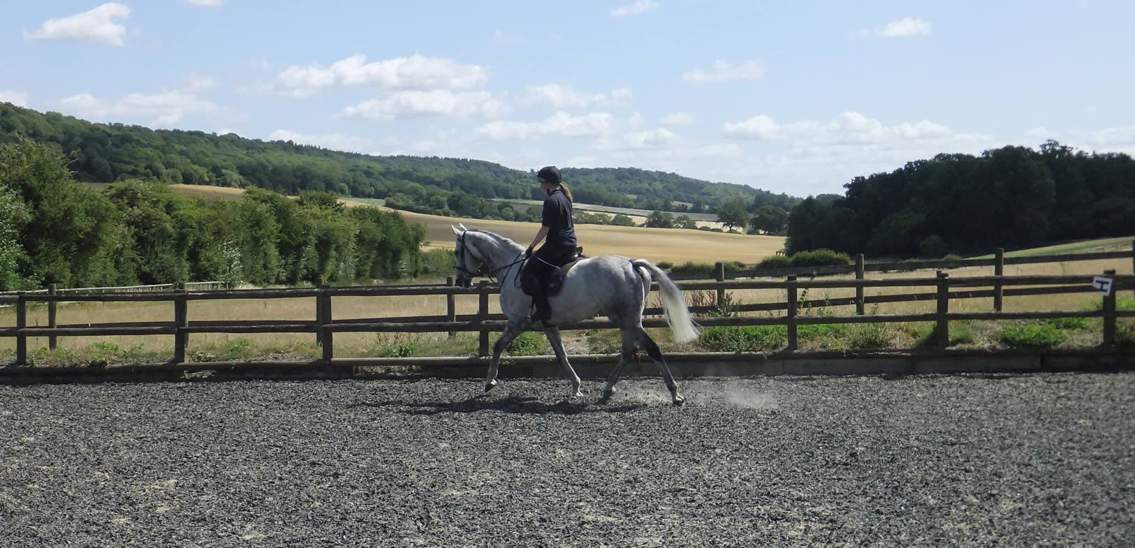 riding school facilities